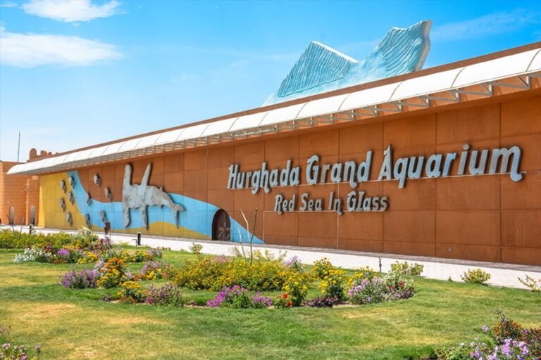 excursion-au-grand-aquarium-d-hurghada-5