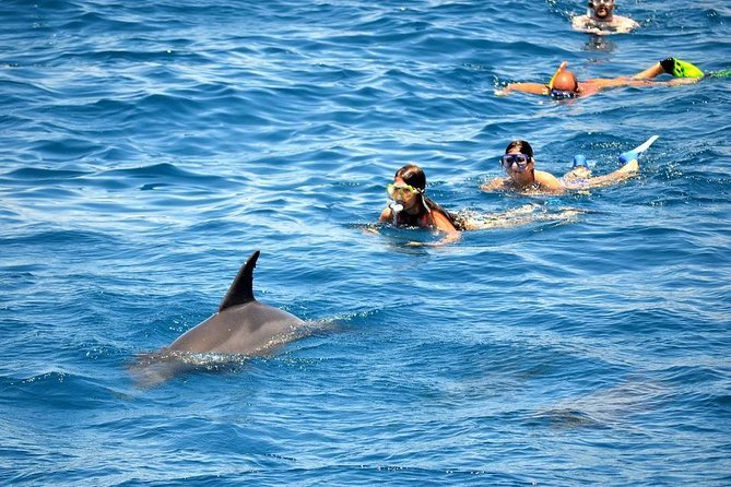 maison-des-dauphins-dhurghada-5