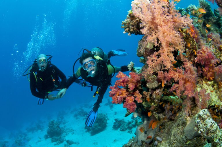 Two,Scuba,Divers,Underwater,Having,Fun