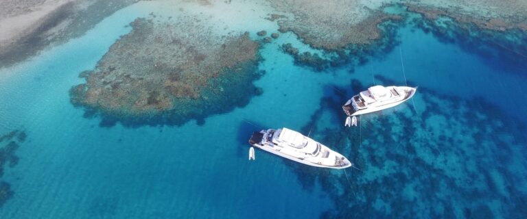 plongee-a-marsa-alam-depuis-le-bateau-6