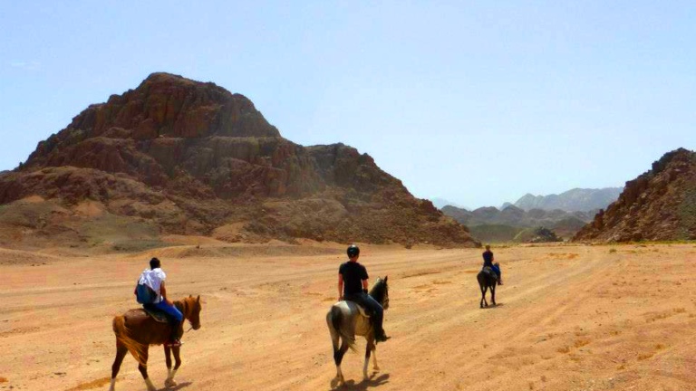 promenade-a-cheval-a-hurghada-2