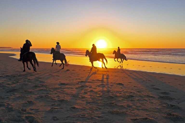 Horse,Riding,On,The,Beach,At,Sunset