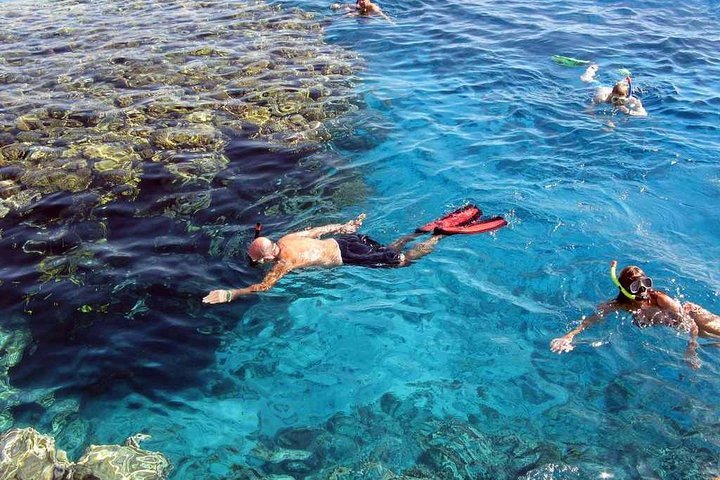 tour-en-bateau-de-marsa-alam-a-marsa-mubarak-4