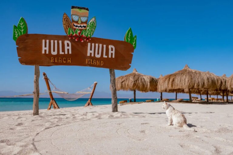 Excursion sur l'île Hula Hula Hurghada